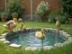 schwimmbecken-fuer-enten-selber-bauen-schrittweise-anleitung-fuer-hobbyhalter