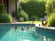 so-gestalten-sie-einen-swimmingpool-fuer-voegel-im-eigenen-garten
